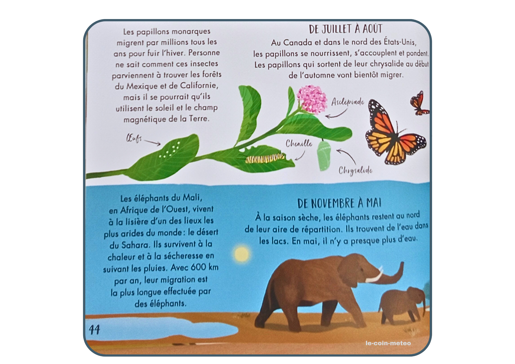 Mon grand de la météo